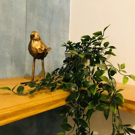 Apartamento Canarios Catarina Lisboa